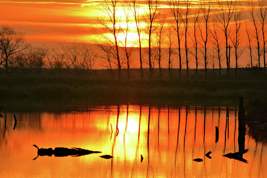 Maynes Sunrise Photograph by Bonfire Photography