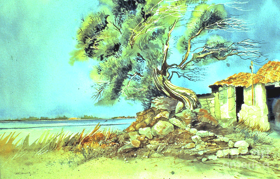 Mayorcan Tree Painting by Douglas Teller