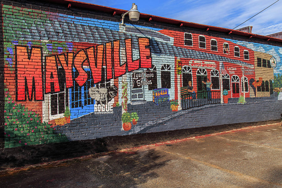 Maysville Mural Photograph by Doug Camara