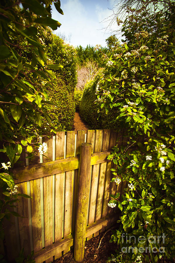 Garden Photograph - Maze dead end by Jorgo Photography