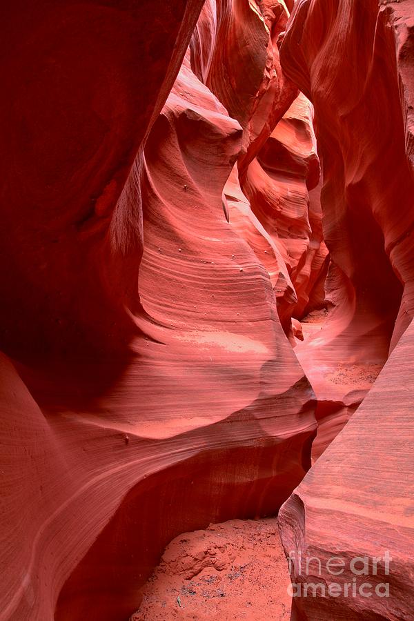 Maze Of Sculpted Red Photograph by Adam Jewell