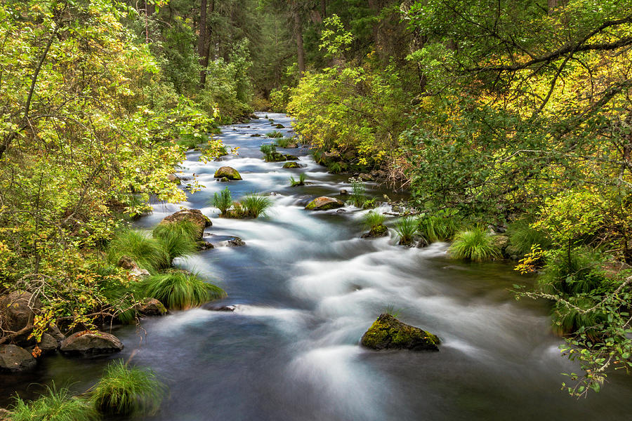 McArthur-Burney Falls Creek Photograph by Bill Gallagher