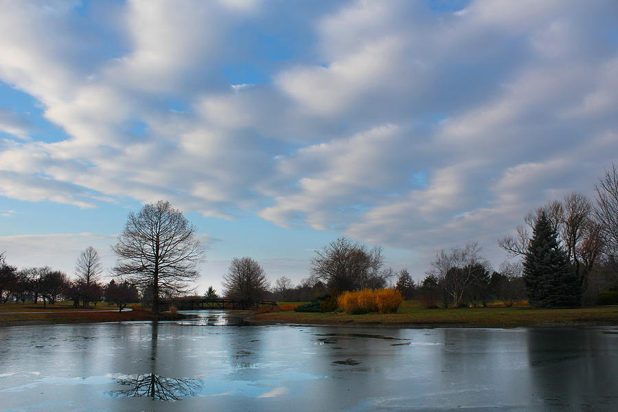 McBride Arboretum Winter Morning 2 Photograph by Shawna Rowe