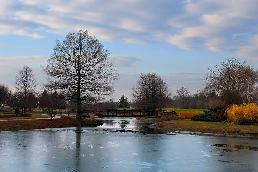 McBride Arboretum Winter Morning Photograph by Shawna Rowe