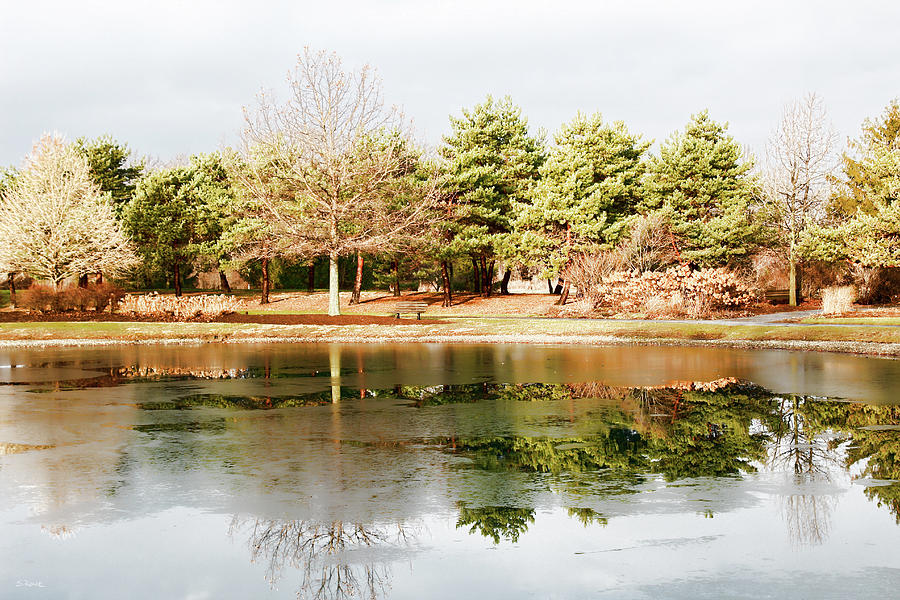 McBride Arboretum - Winter Reflection Photograph by Shawna Rowe