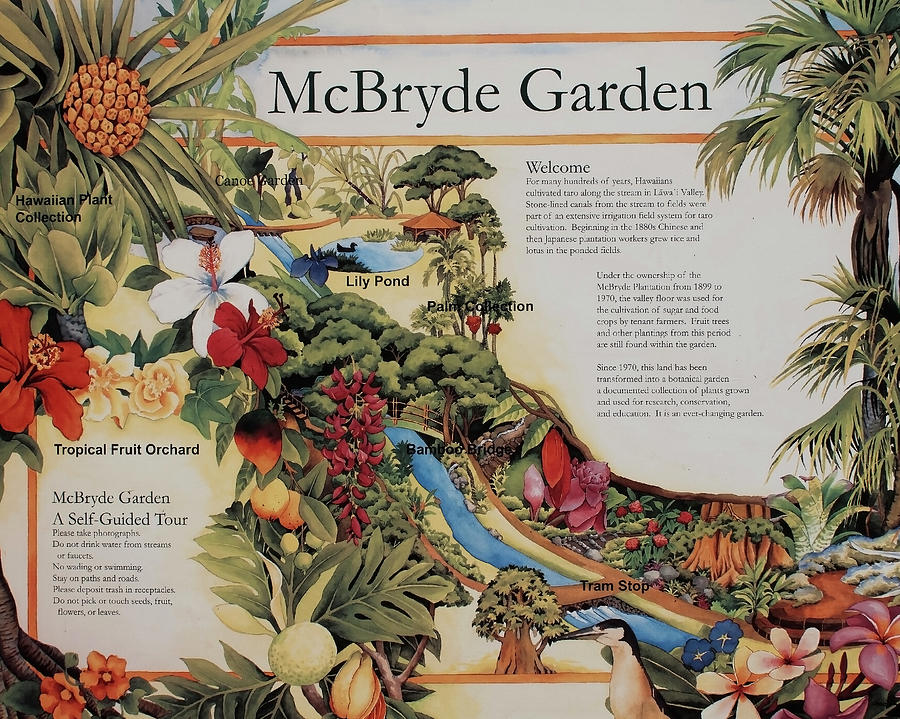 Mcbryde Garden Photograph By Joe Palermo