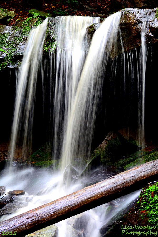 McConnells Mills Waterfall Photograph by Lisa Wooten