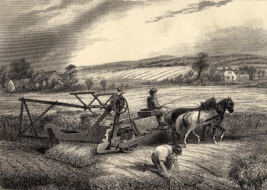 Black And White Drawing - Mccormick S Reaping Machine by Vintage Design Pics