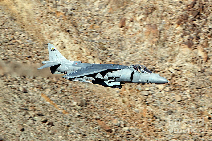 Mcdonnell Douglas Av 8b Harrier Ii Dd 08 Us Navy Vx 31 Dust Devils Photograph By Jason O Watson