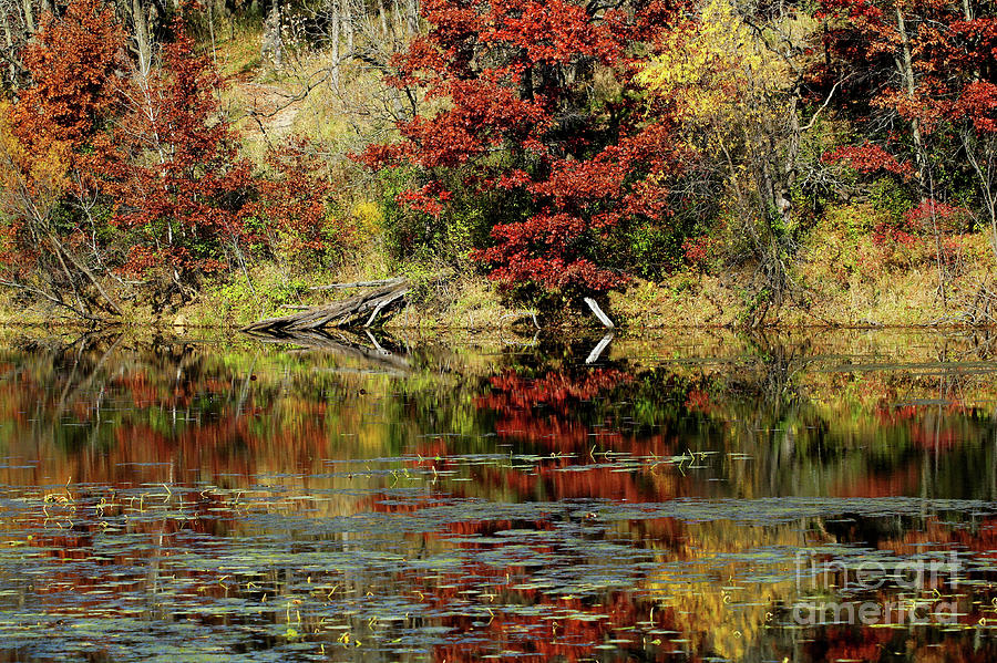 McDonough Lake in Autumn Photograph by Jimmy Ostgard