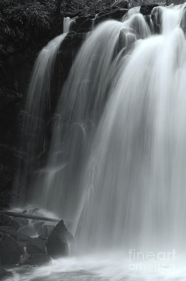 McDowell Creek Falls Photograph by Scott Gould