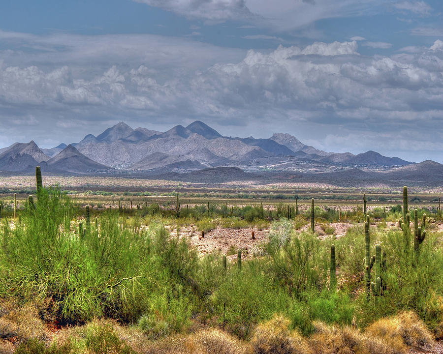 $200 -16x20 canvas - McDowell Mountains 2830- 072911-3  Photograph by Tam Ryan