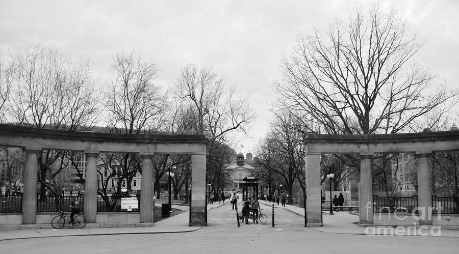 McGill Gates Photograph by Reb Frost