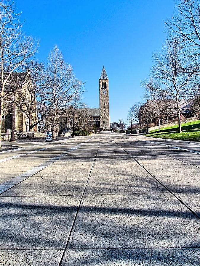 McGraw Tower  Photograph by Elizabeth Dow