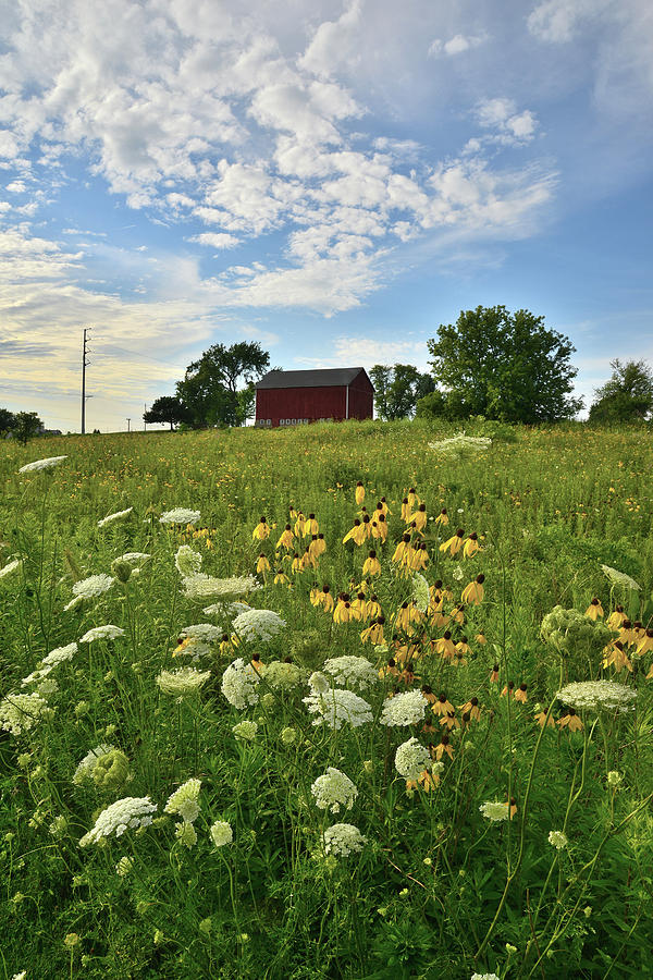 McHenry County Prairie Scene Photograph by Ray Mathis