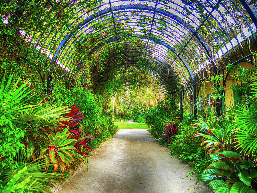Mckee Botanical Garden Xxx Digital Art By Tina Baxter
