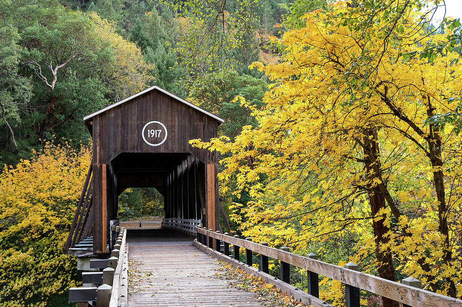 Mckee Bridge in Fall Photograph by Steven Clark