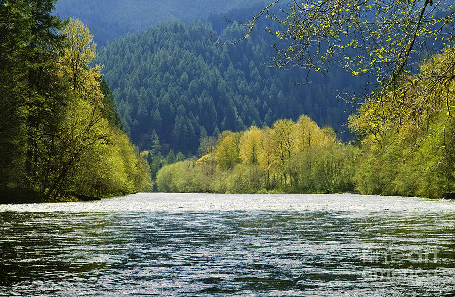 McKenzie River Photograph by Greg Vaughn - Printscapes
