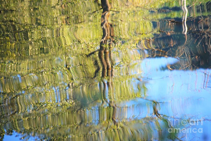 McKenzie River Reflections Photograph by Merle Grenz