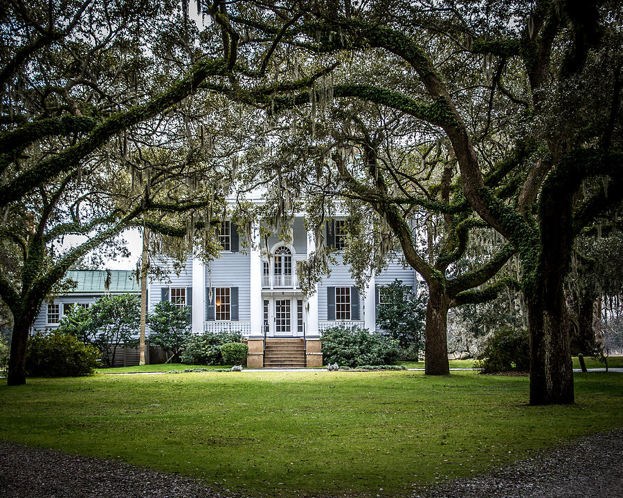 Mcleod Plantation Charleston, Sc 4 Photograph by Ted Jennings