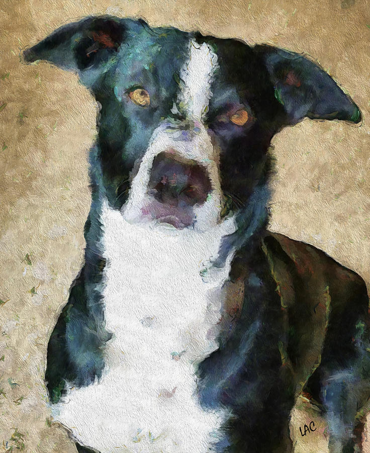 Mc Nab Shepherd Digital Art by Doggy Lips - Fine Art America