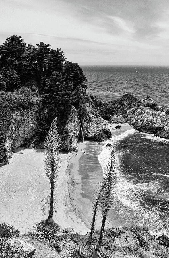 McWay Cove Black and White Photograph by Judy Vincent