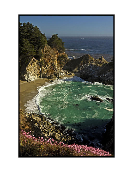 Flower Photograph - McWay Falls by Blake Smith