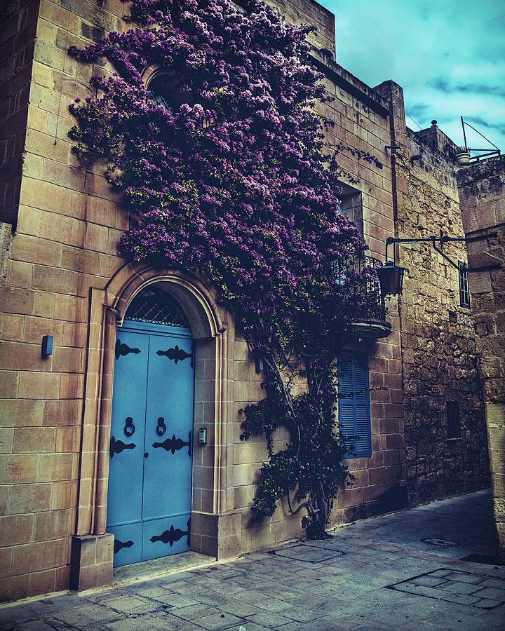 Mdina Flowers by Nisah Cheatham Mdina Flowers by Nisah Cheatham