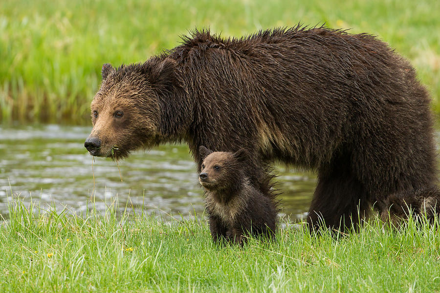 Me and Mom Photograph by Sam Maggio - Fine Art America