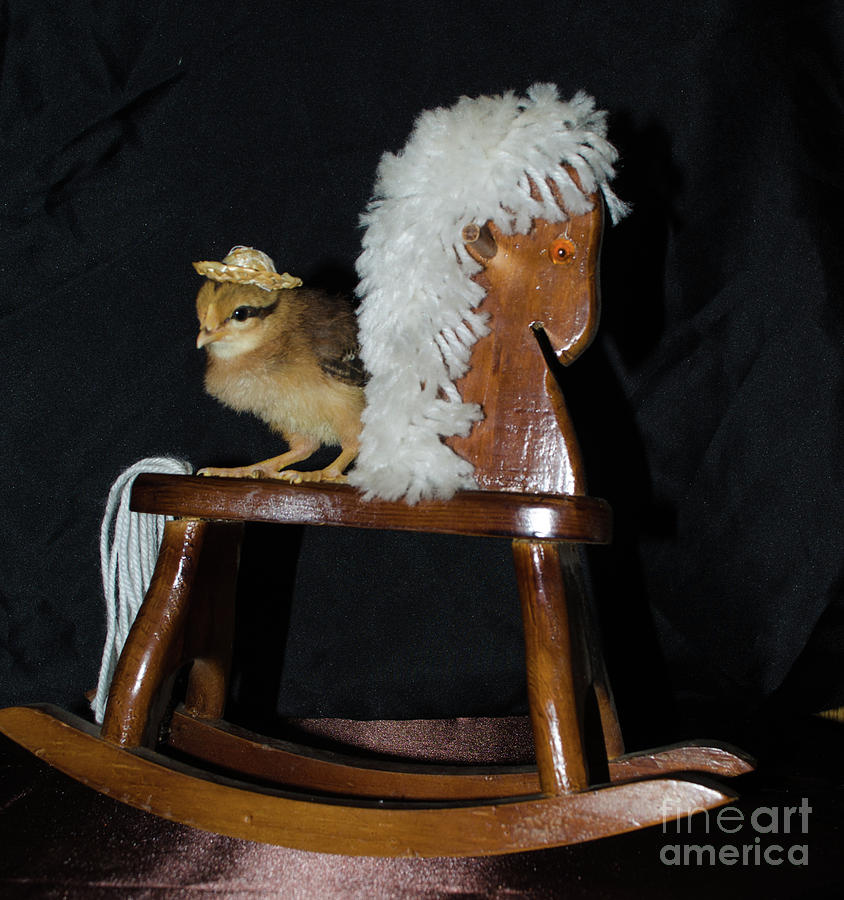 Me And My Rocking Horse Photograph by Donna Brown