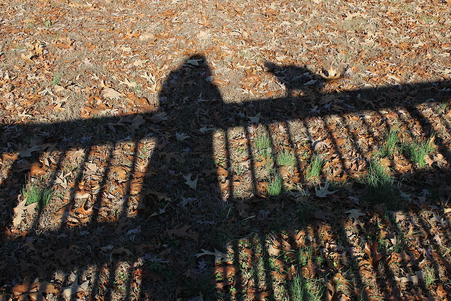 Me and My Shadow Photograph by Ali Baucom