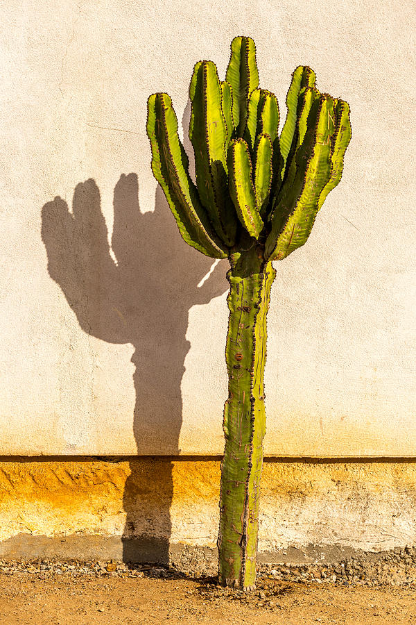 San Diego Photograph - Me and My Shadow by Peter Tellone