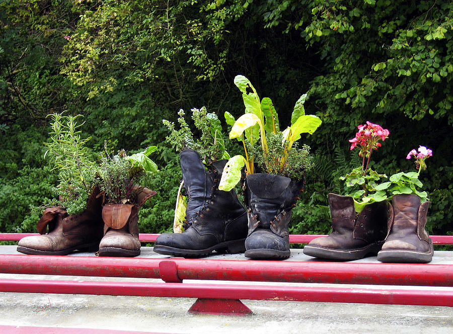 Me Garden Boots Photograph by Kurt Van Wagner