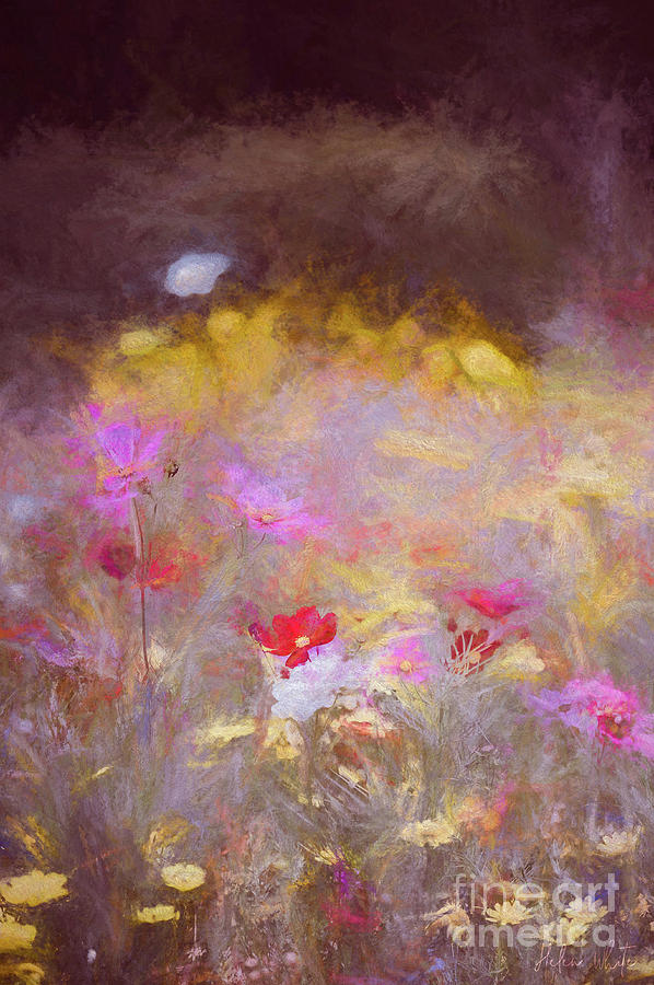 Flower Mixed Media - Meadow, 2018 by Helen White