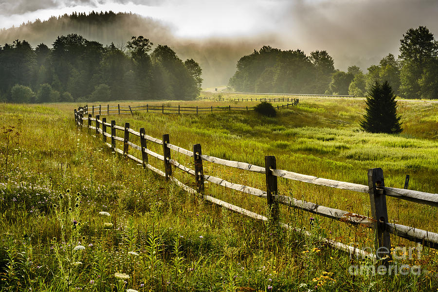Meadow and Morning Mist Photograph by Thomas R Fletcher