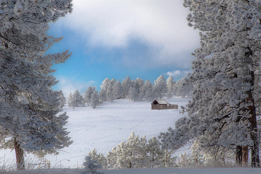 Meadow Barn in Winter Photograph by Lowell Monke