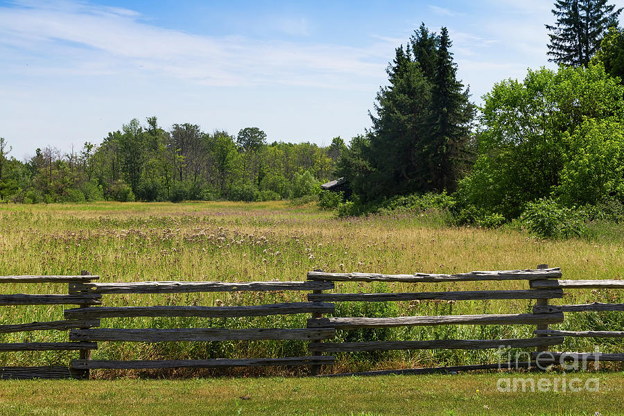 Meadow behind split-rail fence Photograph by Les Palenik