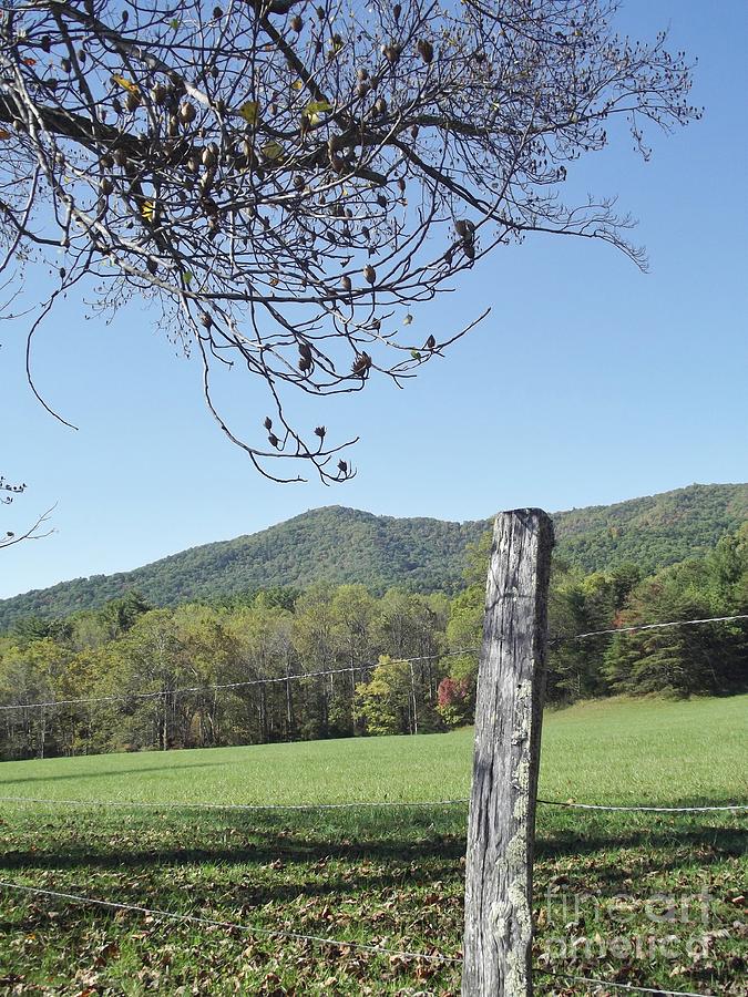 Meadow - Cades Cove #2 Photograph by Cheryl Hardt Art - Pixels