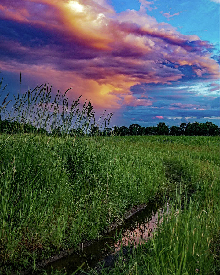 Meadow Lark Photograph by Kendall McKernon Meadow Lark Photograph by Kendall McKernon