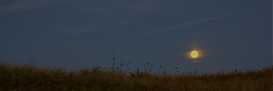 Meadow Moon Photograph by Steve Gravano