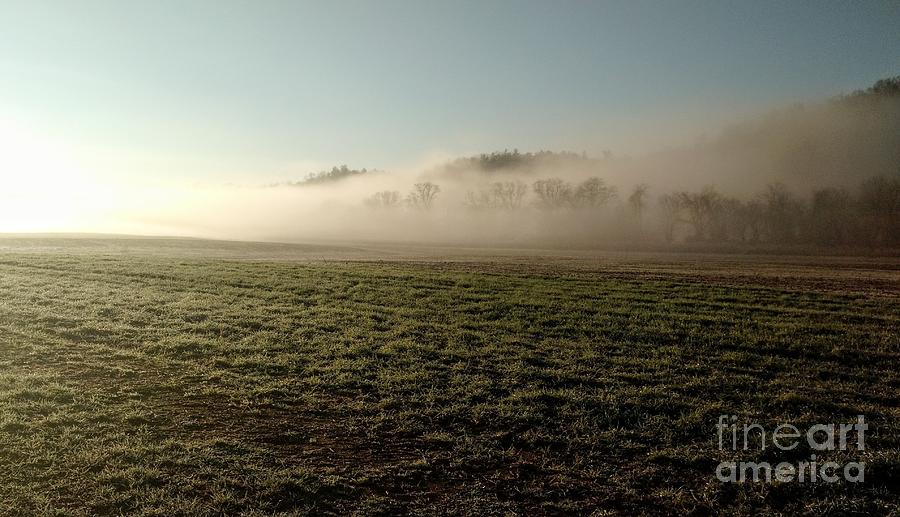 Meadow Morning  Photograph by Anita Adams