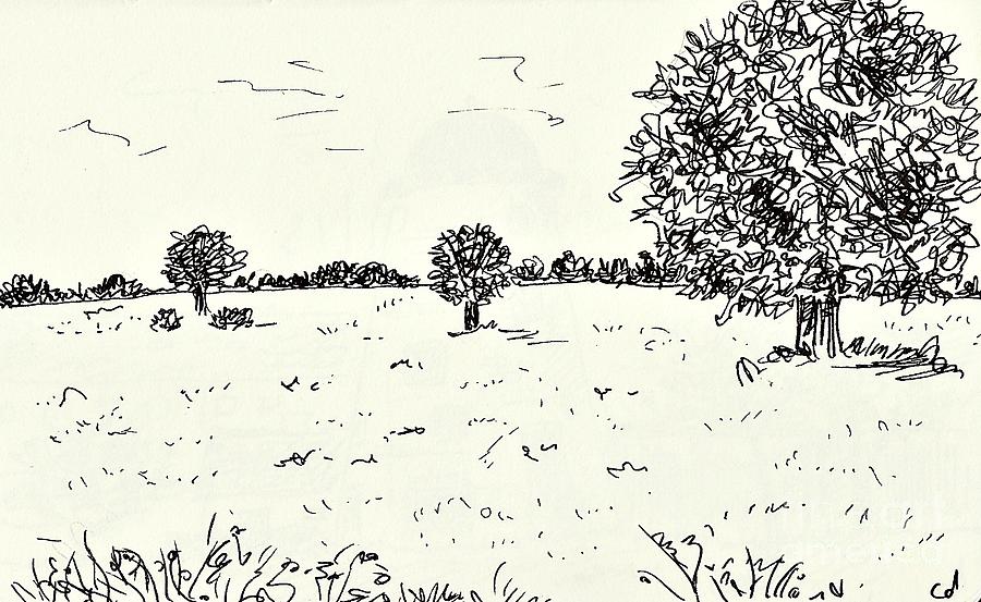 Meadow near Woerlitz Drawing by Chani Demuijlder