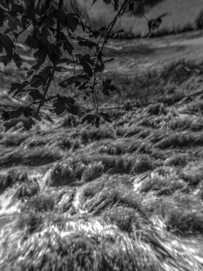 Black And White Photograph - Meadow of Montaigle by Stephen Settles