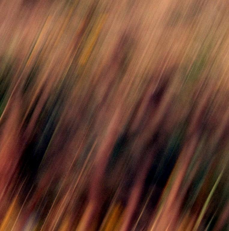Meadow Rain Photograph by Bill Kellett