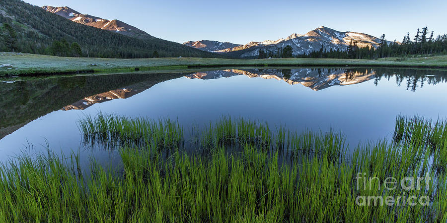 Meadow Reflections  Photograph by Brandon Bonafede