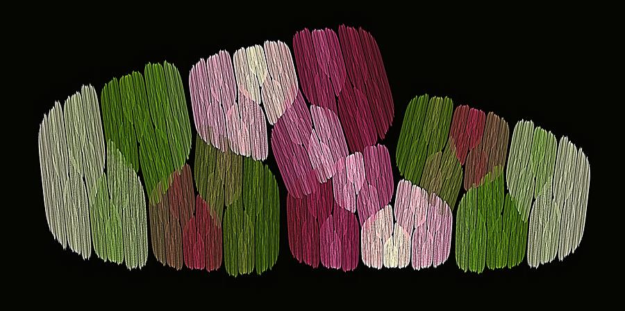 Meadow Spring Digital Art by Doug Morgan