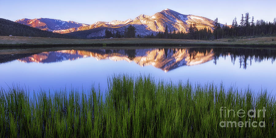 Meadow Sunrise Photograph by Anthony Michael Bonafede