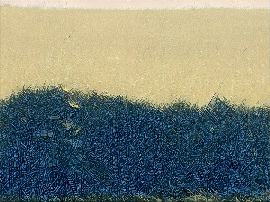 Meadow Digital Art by Unhinged Artistry