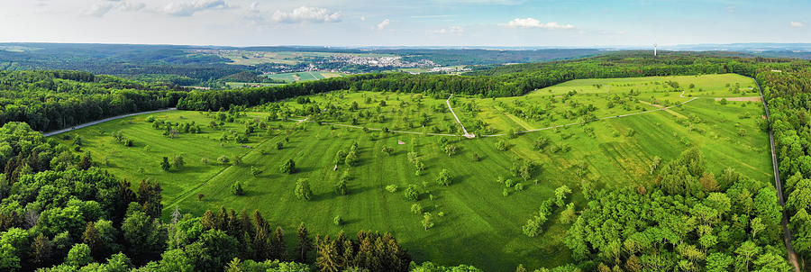 Meadow with trees green nature Braunaecker Germany Photograph by Matthias Hauser