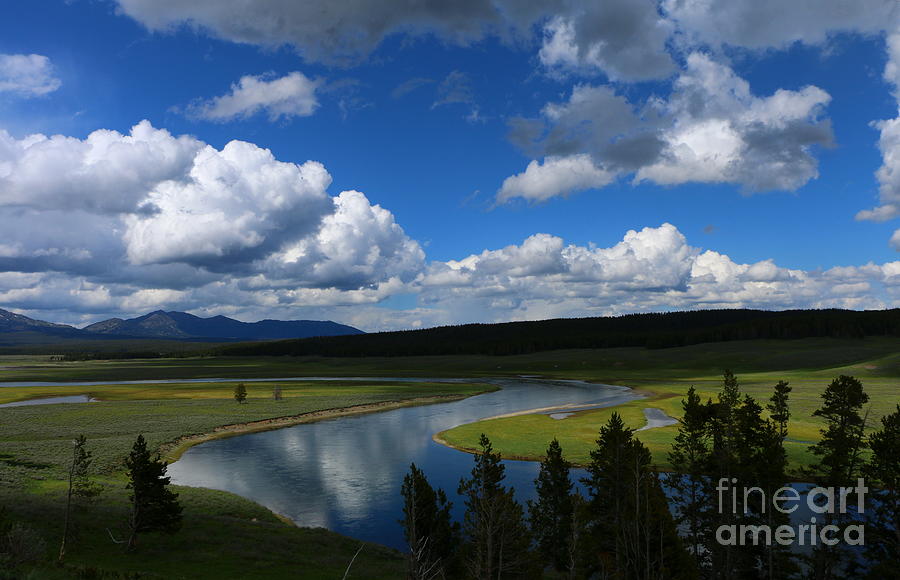 Meadow With Yellowstone River Photograph by Christiane Schulze Art And Photography